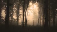 The Nature and Origins of Evil