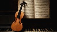 The Solo Concerto