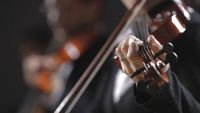 Beethoven's Symphony no. 5 in C Minor, op. 67, Part 2