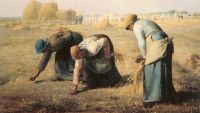 Realism-From Daumier to Courbet