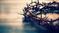 Bach Transcendent-The Saint Matthew Passion, Part I