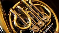 Bach Transcendent-The Goldberg Variations, Part II