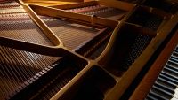 The Piano Trios
