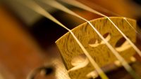 The String Quintets