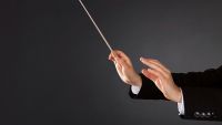 The Striking and Subversive, Op. 10 Continued