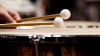 Symphony No. 3-The "New Path" -Heroism and Self-Expression, II