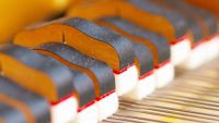 Symphony No. 5-The Expressive Ideal Fully Formed, I