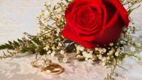 Haydn's Marriage and Esterhaza