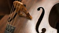 The Classical String Quartet and the Classical Symphony