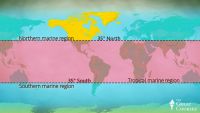Bird Distribution, Status, and Endemism