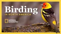 The National Geographic Guide to Birding in North America