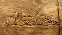 Neo-Assyrian Palace Reliefs
