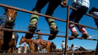 Live Event Photography: A Day at the Ranch