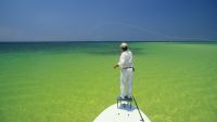 Landscape Photographer, Landscape Artist