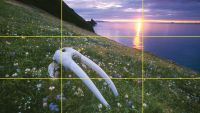 Four Kinds of Light in Landscapes