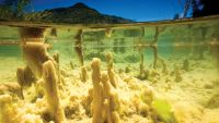 Above- and Below-Surface Waterscapes
