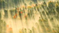 Five Ideas for Successful Landscape Photos