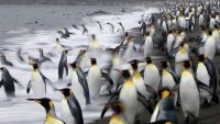 Antarctica: A Photographer's Paradise