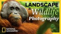 The National Geographic Guide to Landscape and Wildlife Photography