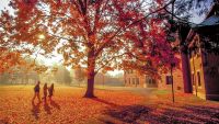 Natural Light on Landscapes