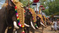 Festivals, Parades, and Special Events