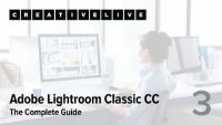 Understanding Catalogs and File Management