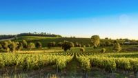 Bordeaux and the Coast of Aquitaine