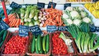 Avignon: From Popes to Produce Stands