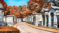 Bohemian Paris: Artists and Expats