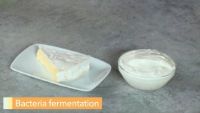 Fermentation Civilization