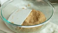 Dough Development and Fermentation