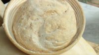 Rustic Whole Wheat Boule