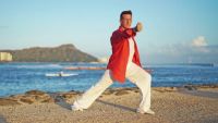 Tai Chi Fusion: Fire