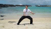 Tai Chi Fusion: Iron