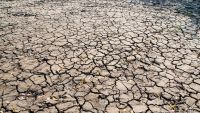 Plate Tectonics and the Earth's Geography
