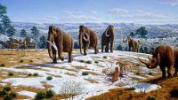 Change in the Paleolithic Era
