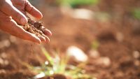 The First Agrarian Societies