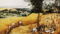 From Villages to Cities