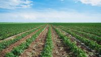 The World That Agrarian Civilizations Made