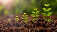 Origins of Agriculture