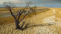 Civilization, the Biosphere, and Tomorrow