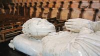 The Black Death in Avignon