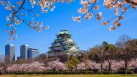 Japan: A Globally Engaged Island Nation