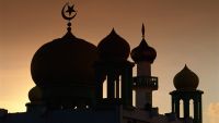 Indian Muslim Politics between the Wars
