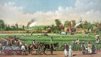 Southern Society and the Defense of Slavery