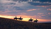 Westward the Course of Empire
