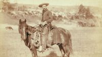 Cowboys and Cattle Drives