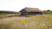 Homesteaders on the Plains