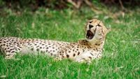 Smithsonian’s National Zoo
