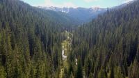 The Ruby Ridge Trial